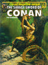 SAVAGE SWORD OF CONAN ORIGINAL COMICS OMNIBUS HC VOL 06 DIRECT MARKET