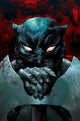 FIRE AND ICE DARKWOLF (2026) #2 CVR K 25 COPY INCV DAN PANOSIAN VIRGIN VAR
