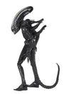 ALIENS 40TH ANNIVERSARY BIG CHAP 1/4 SCALE AF