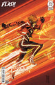 ABSOLUTE FLASH (2025) #19 CVR B DENYS COWAN CARD STOCK VAR