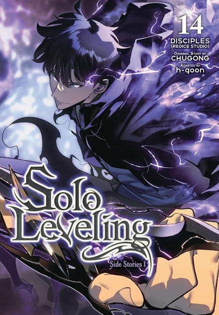 SOLO LEVELING GN VOL 14