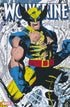 WOLVERINE OMNIBUS HC VOL 03 JIM LEE DM VAR