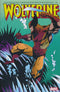 WOLVERINE OMNIBUS HC VOL 03 SILVESTRI CVR