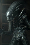 ALIENS 40TH ANNIVERSARY BIG CHAP ULTIMATE 7IN AF