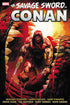 SAVAGE SWORD OF CONAN THE ORIGINAL MARVEL YEARS OMNIBUS HC VOL 08 KLEIN CVR