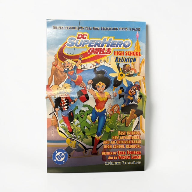 DC SUPER HERO GIRLS HIGH SCHOOL REUNION TP PROMO POSTER