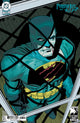 POISON IVY (2022) #48 CVR E HAYDEN SHERMAN DARK KNIGHT RETURNS 40TH ANNIVERSARY CARD STOCK VAR (BATMAN BAD SEEDS)