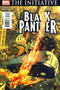 BLACK PANTHER VOL 4 #27 CWI