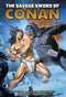 SAVAGE SWORD OF CONAN ORIGINAL COMICS OMNIBUS HC VOL 10 DIRECT MARKET EDITION JOE JUSKO KONG CVR