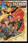 WILDSTORM RARITIES (1994) #1 (ONE SHOT)