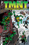 TEENAGE MUTANT NINJA TURTLES JOURNEYS (2025) #2 CVR B LAWSON