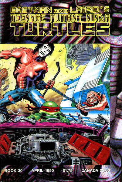 TEENAGE MUTANT NINJA TURTLES (1984) #30 (VF)