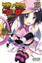 HIGH SCHOOL DXD LIGHT NOVEL SC VOL 15