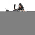 MARVEL LEGENDS SERIES X-FORCE X-23 & WARPATH AF