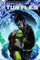 TEENAGE MUTANT NINJA TURTLES (2011) #128 CVR B EASTMAN