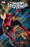 AMAZING SPIDER-MAN (2025) #11 25 COPY INCV FELIPE MASSAFERA VAR