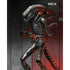 ALIEN ROMULUS XENOMORPH XX121 ULTIMATE 7IN AF