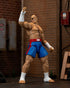 STREET FIGHTER SAGAT 6IN AF