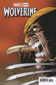 WOLVERINE (2024) #25 25 COPY INCV NETHO DIAZ VAR