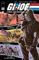 GI JOE A REAL AMERICAN HERO HAMA FILES EDITION (2025) #117 CVR B CHRIS MOONEYHAM
