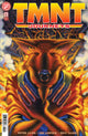 TEENAGE MUTANT NINJA TURTLES JOURNEYS (2025) #11 CVR A DOONEY & LAWSON