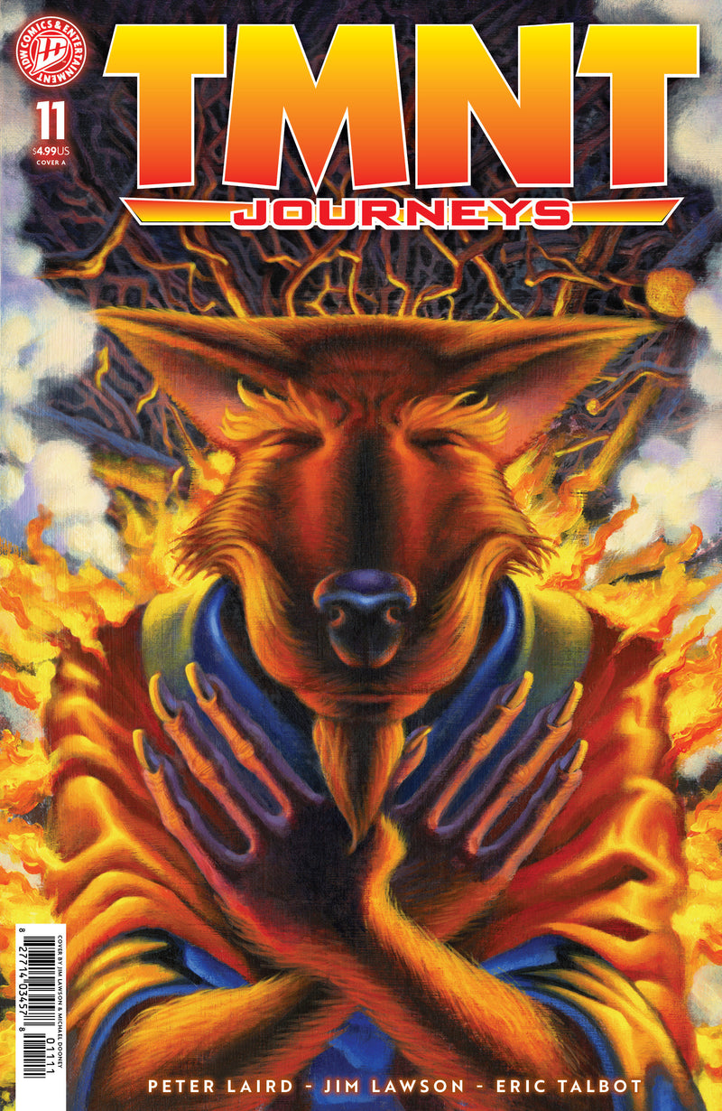 TEENAGE MUTANT NINJA TURTLES JOURNEYS (2025) #11 CVR A DOONEY & LAWSON