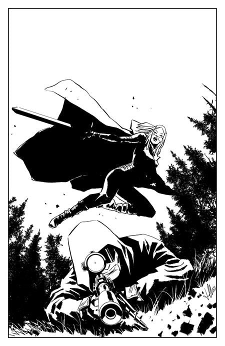 LOST FANTASY (2025) #2 CVR C INC 1:15 LUCA CASALANGUIDA B&W VAR