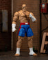 STREET FIGHTER SAGAT 6IN AF