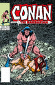 CONAN THE BARBARIAN THE ORIGINAL COMICS OMNIBUS HC VOL 07 DIRECT MARKET EDITION