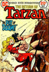 TARZAN (1972) #223 (FN/VF)