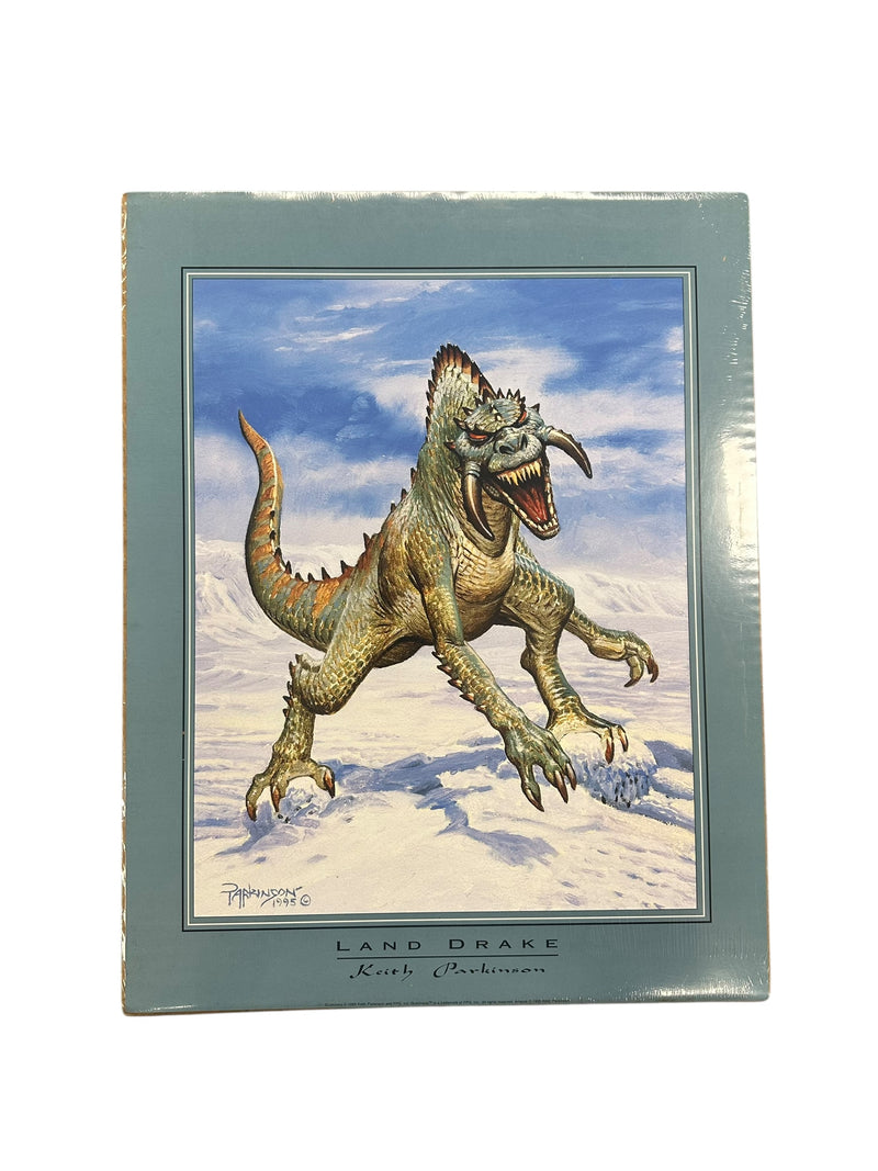 1995 KEITH PARKINSON LAND DRAKE PRINT
