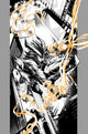 FIREBORN (2026) #3 CVR D INC 1:25 PATRICK MULHOLLAND B&W VAR
