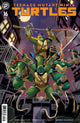 TEENAGE MUTANT NINJA TURTLES (2024) #16 CVR C PIZZARI
