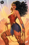 WONDER WOMAN (2023) #25 CVR G DAVID NAKAYAMA FOIL VAR