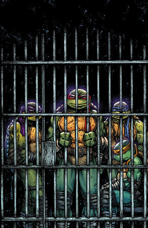 TEENAGE MUTANT NINJA TURTLES (2024) #11 CVR F 10 COPY INCV EASTMAN VAR