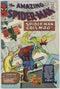 AMAZING SPIDER-MAN (1963) #24 (FN/VF)