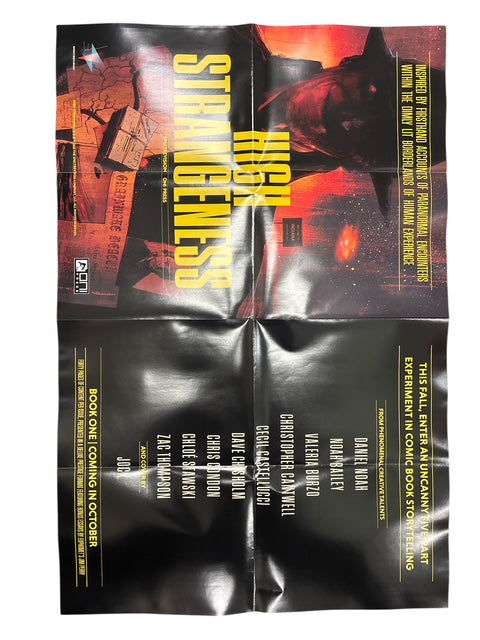HIGH STRANGENESS - SKIN POLICE DOUBLE SIDED PROMO POSTER