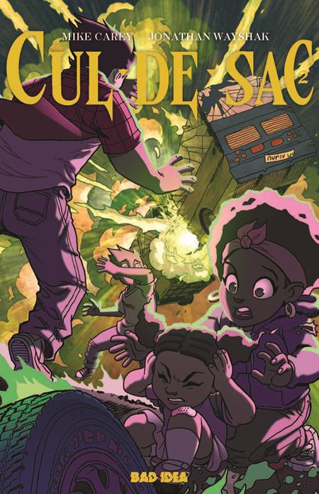 CUL DE SAC (2025) #2 CVR B TONY FLEECS CURSED MIRROR CVR