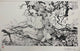 PAUL POPE  SIGNED LIBERTY TREE CBLDF LIMITED EDITION FINE ART PRINT