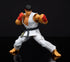 STREET FIGHTER RYU 6IN AF