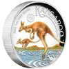 AUSTRALIAN KANGAROO 2026 1oz SILVER PROOF HIGH RELIEF COLOURED COIN