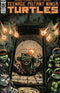 TEENAGE MUTANT NINJA TURTLES (2011) #121 CVR B EASTMAN