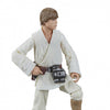STAR WARS THE BLACK SERIES LUKE SKYWALKER AF