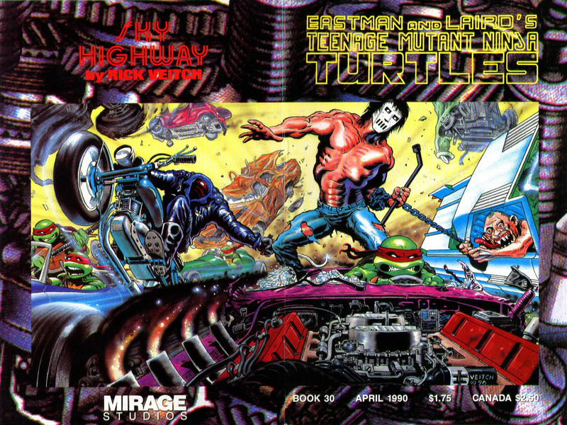 TEENAGE MUTANT NINJA TURTLES (1984) #30