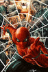 AMAZING SPIDER-MAN (2025) #11 100 COPY INCV LEE BERMEJO AMAZING VISIONS VIRGIN VAR