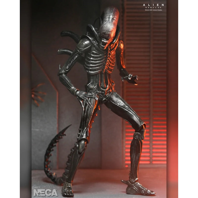 ALIEN ROMULUS XENOMORPH XX121 ULTIMATE 7IN AF