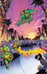TEENAGE MUTANT NINJA TURTLES (2024) #13 CVR I 75 COPY INCV JOHNSON VAR