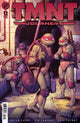 TEENAGE MUTANT NINJA TURTLES JOURNEYS (2025) #12 CVR B SANTOLOUCO