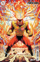 FURY OF FIRESTORM (2026) #1 SECOND PRINTING CVR B DIEGO OLORTEGUI CARD SROCK VAR