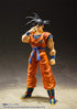 S.H.FIGUARTS DRAGON BALL SON GOKU A SAIYAN RAISED ON EARTH FIGURE AF